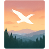 Freebird forest dusk