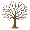 Winter Tree Silhouette