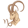 Zodiac sign Capricorn