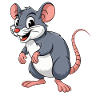 Rat