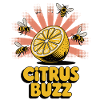 Chemise Citrus Buzz Citrons