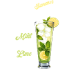 Summer Mojito