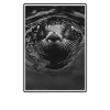 Seeotter