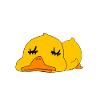 Nope not today duck