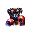 Dog Boxers Dog Pet Boxing