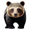 Jungbär