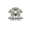 lotusFlower
