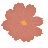Pink Flower