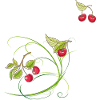 Cerises
