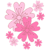 Falling Sakura Cherry Blossoms