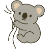 Cuddly koala