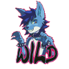 Wild Wolf