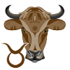 Sternzeichen Stier