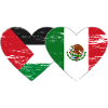 Palestine Mexico flag heart used