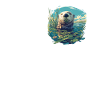 Sea otter