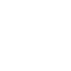 Beach Palm Trees Ocean