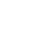 Electrified Moth