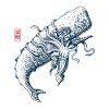 Pottwal vs. Riesenkrake