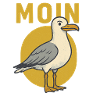 Moin Seagull