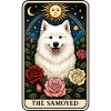 Samojede