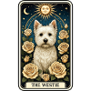Westie