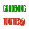 I Love Gardening From My Head Tomatoes Pun Lover
