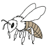 Biene
