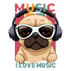 I love music