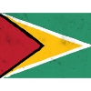 Guyana Flag – Dynamic Energy