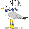 Möwe und das meer