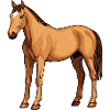 Pferd