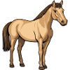 Pferd