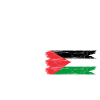 Palestine flag