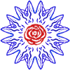 Rose in the blue sun
