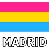 Pan Pride Flag Madrid