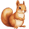 Squirrel