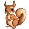 Squirrel