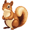 Eichhörnchen