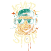 Llama DJ Never Stop