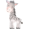 Bébé zèbre