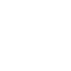 Original from Pinzgau