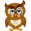 A cute little owl