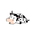 Nope not today cow