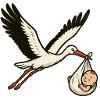 Cigogne blanche avec bébé
