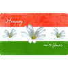 Hungary Flag Hungarian