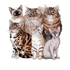 Different cat breeds illustration