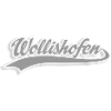 Zurich Neighbourhood League