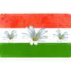 Hungary Flag Hungarian Flag
