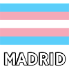 Trans Pride Flag Madrid