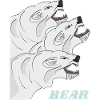 Three Polar Bears